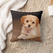 ベビーのマルタのプードルの組合せかmaltipooの小犬 クッション (ブランケット)