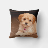 ベビーのマルタのプードルの組合せかmaltipooの小犬 クッション (裏面)