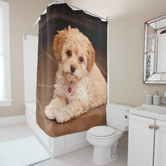 ベビーのマルタのプードルの組合せかmaltipooの小犬 シャワーカーテン (インサイチュ)