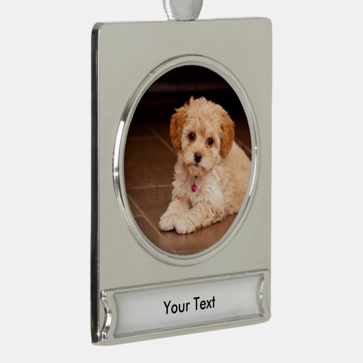 ベビーのマルタのプードルの組合せかmaltipooの小犬 シルバープレートバナーオーナメント (右)