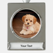 ベビーのマルタのプードルの組合せかmaltipooの小犬 シルバープレートバナーオーナメント (正面)