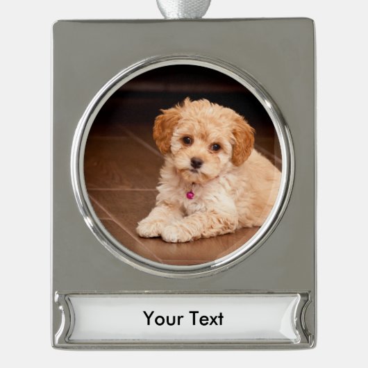 ベビーのマルタのプードルの組合せかmaltipooの小犬 シルバープレートバナーオーナメント (正面)