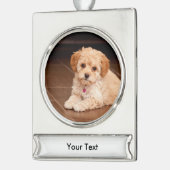 ベビーのマルタのプードルの組合せかmaltipooの小犬 シルバープレートバナーオーナメント (左)