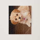 ベビーのマルタのプードルの組合せかmaltipooの小犬 ジグソーパズル (縦)
