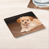 ベビーのマルタのプードルの組合せかmaltipooの小犬 スクエアペーパーコースター (アングル)