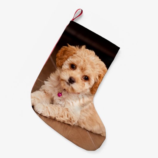 ベビーのマルタのプードルの組合せかmaltipooの小犬 スモールクリスマスストッキング (正面 (吊り時))