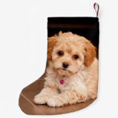 ベビーのマルタのプードルの組合せかmaltipooの小犬 スモールクリスマスストッキング (裏面)