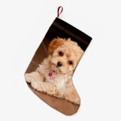 ベビーのマルタのプードルの組合せかmaltipooの小犬 スモールクリスマスストッキング (正面 (吊り時))