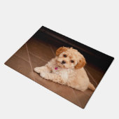 ベビーのマルタのプードルの組合せかmaltipooの小犬 ドアマット (アングル)