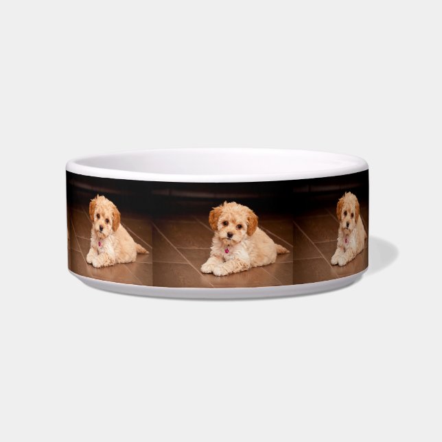 ベビーのマルタのプードルの組合せかmaltipooの小犬 ボウル (左)