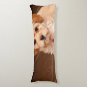 ベビーのマルタのプードルの組合せかmaltipooの小犬 ボディピロー (正面縦)