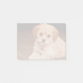ベビーのマルタのプードルの組合せかmaltipooの小犬 ポストイット (正面)