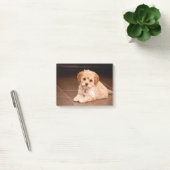 ベビーのマルタのプードルの組合せかmaltipooの小犬 ポストイット (オフィス)