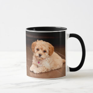 ベビーのマルタのプードルの組合せかmaltipooの小犬 マグカップ