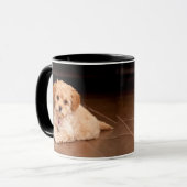 ベビーのマルタのプードルの組合せかmaltipooの小犬 マグカップ (正面左)