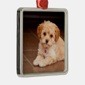 ベビーのマルタのプードルの組合せかmaltipooの小犬 メタルオーナメント (右)