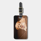 ベビーのマルタのプードルの組合せかmaltipooの小犬 ラゲッジタグ (正面縦)