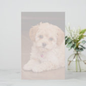 ベビーのマルタのプードルの組合せかmaltipooの小犬 便箋 (スタンド正面)