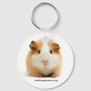 ベビーのモルモットのkeychain キーホルダー