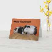 ベビーのモルモット、ハッピーハローウィン! カード (黄色い花)