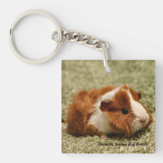 ベビーのモルモットKeychain キーホルダー (正面)