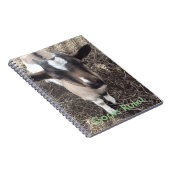 ベビーのヤギのノート ノートブック (右側)