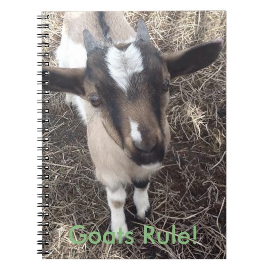 ベビーのヤギのノート ノートブック (正面)
