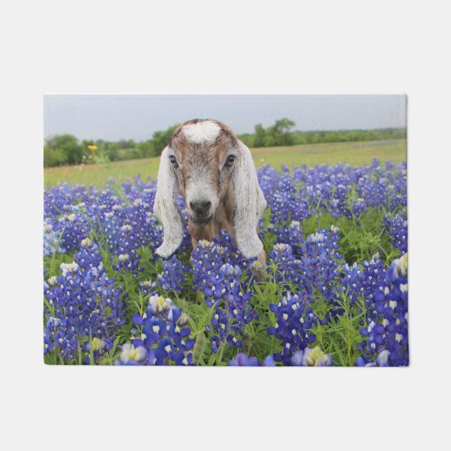 ベビーのヤギの玄関マット ドアマット (正面)