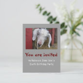 ベビーのヤギの誕生日のパーティの招待状 招待状 (スタンド正面)