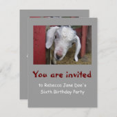 ベビーのヤギの誕生日のパーティの招待状 招待状 (正面/裏面)