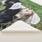 ベビーのヤギ シェルパブランケット (3/4)