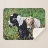 ベビーのヤギ シェルパブランケット (正面(横))