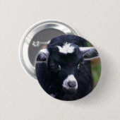 ベビーのヤギ 缶バッジ (正面&裏面)