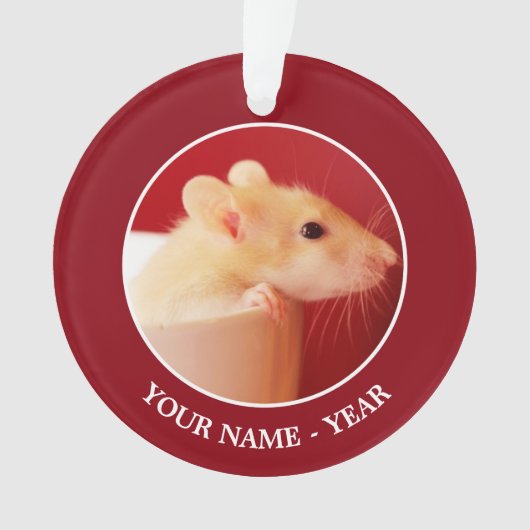 ベビーのラット オーナメント (正面)