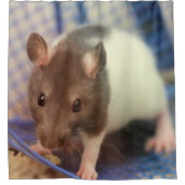 ベビーのラット シャワーカーテン (正面)