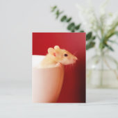 ベビーのラット ポストカード (スタンド正面)