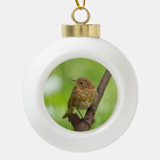 ベビーのロビンが枝に止まった セラミックボールオーナメント (正面)