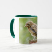 ベビーのロビンのマグ マグカップ (正面左)