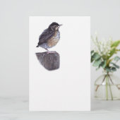 ベビーのロビン 便箋 (スタンド正面)