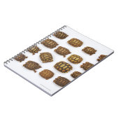 ベビーの亀が並んでいる ノートブック (左側)