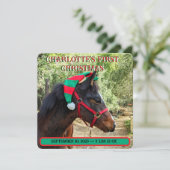 ベビーの初めてのクリスマスの誕生発表 (スタンド正面)