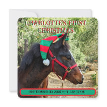 ベビーの初めてのクリスマスの誕生発表