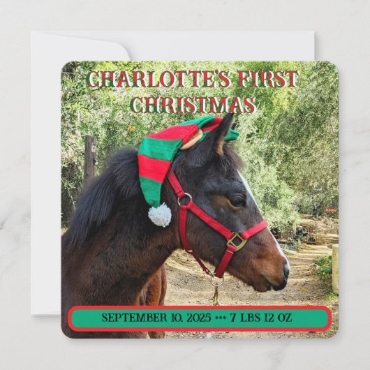 ベビーの初めてのクリスマスの誕生発表 (正面)