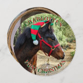 ベビーの初めてのクリスマスズホースラウンドカード シーズンカード (正面/裏面)