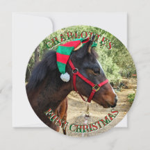 ベビーの初めてのクリスマスズホースラウンドカード
