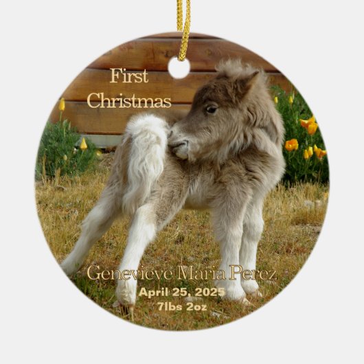 ベビーの初めてのクリスマスポニーインポピーオーナメント セラミックオーナメント (正面)