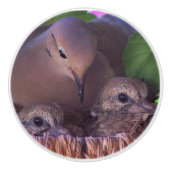 ベビーの嘆く鳩の鳥の野性生物動物の巣のノブ セラミックノブ (正面)