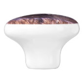 ベビーの嘆く鳩の鳥の野性生物動物の巣のノブ セラミックノブ (側面)