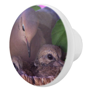 ベビーの嘆く鳩の鳥の野性生物動物の巣のノブ セラミックノブ