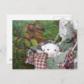 ベビーの子犬の車に乗る ポストカード (正面/裏面)